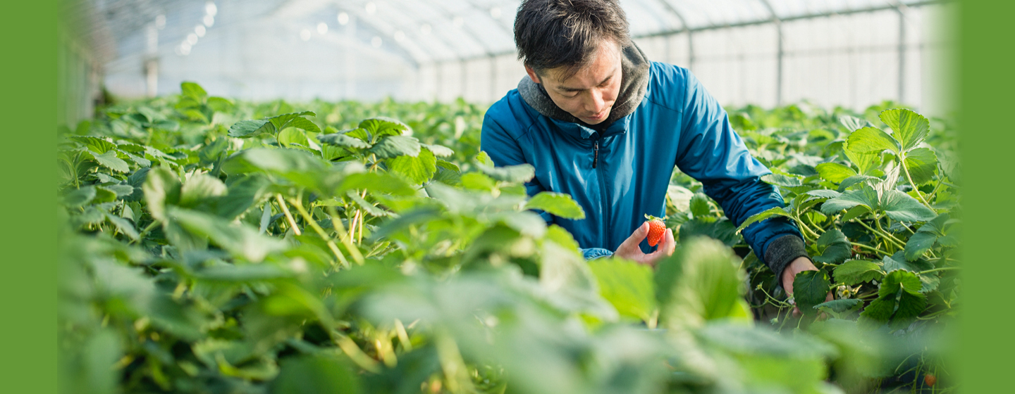 みつかる農しごと